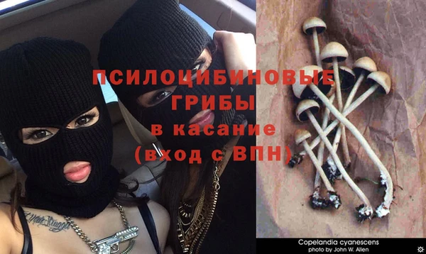 экстази Алексеевка