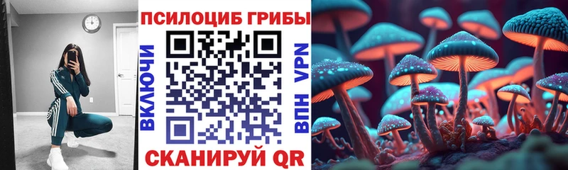 ссылка на мегу рабочий сайт  Красногорск  Псилоцибиновые грибы Magic Shrooms 
