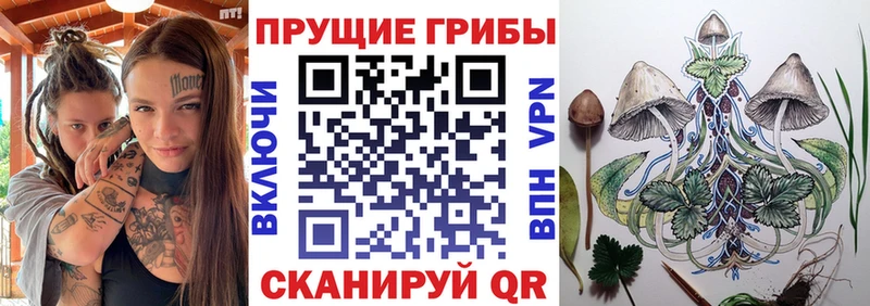 Галлюциногенные грибы прущие грибы Красногорск